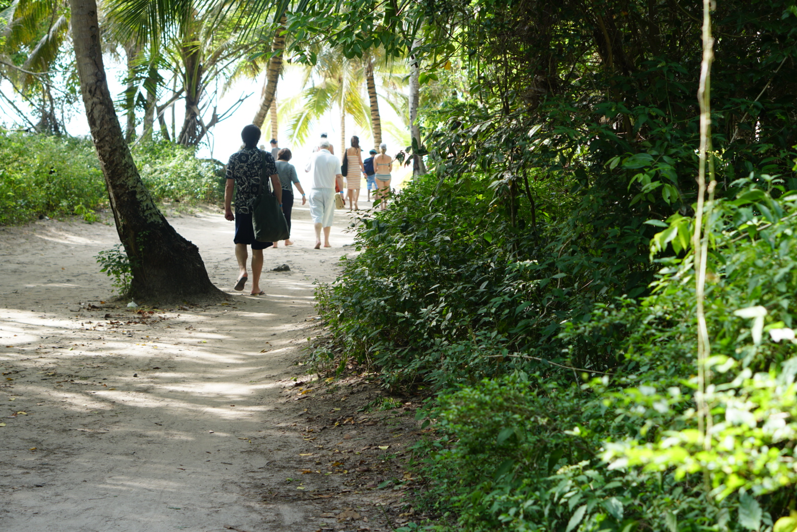 Isla-Saona-Punta-Cana---land