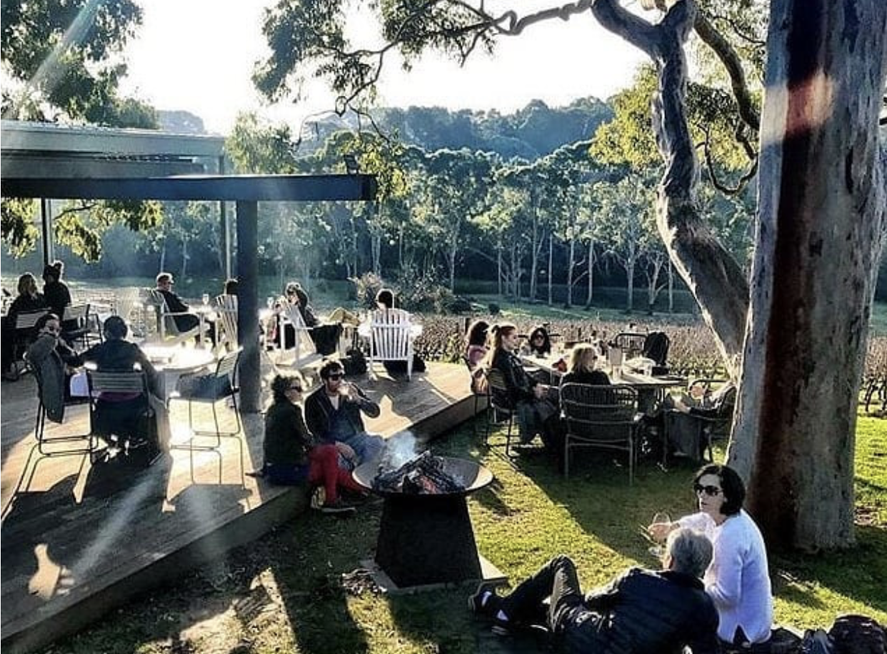 polperro-winery-crowd