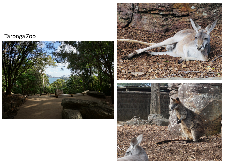 Taronga-Zoo