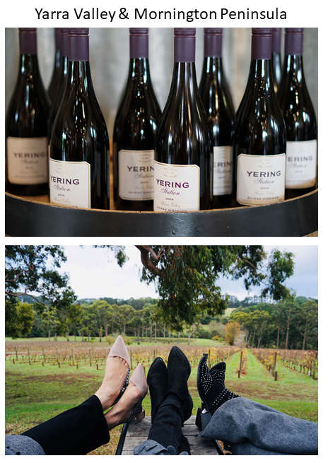 Yarra-Valley---Mornington-Peninsula